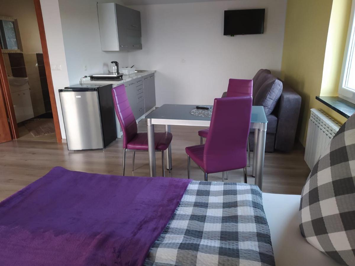 Appartement Mocik à Jastrzębia Góra Extérieur photo